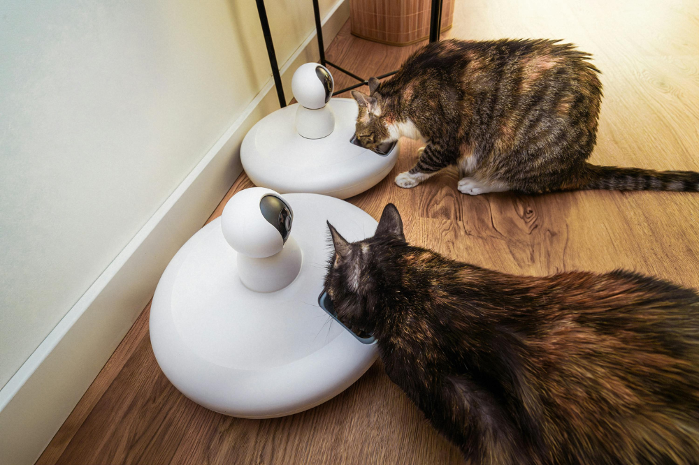 Why Smart Feeders Are a Game-Changer for Pet Parents