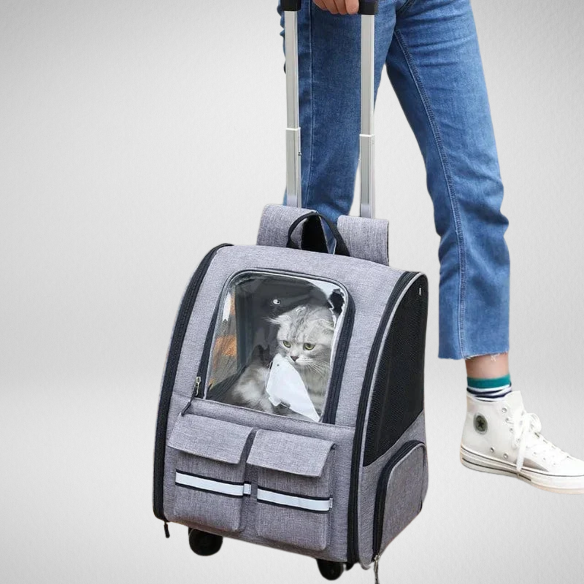 Trasportino portatile per gatti