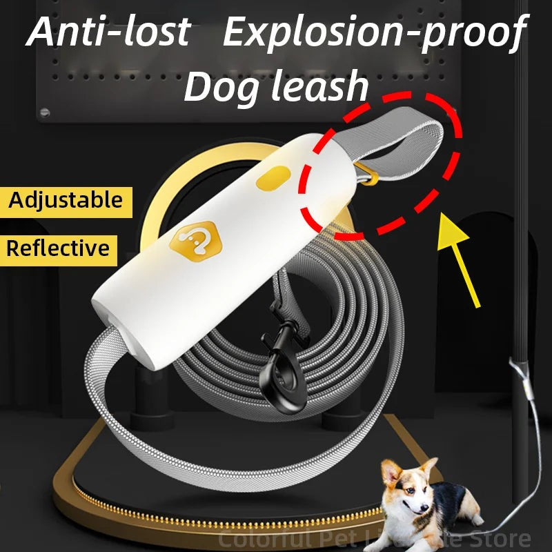 5M Retractable Dog Leash