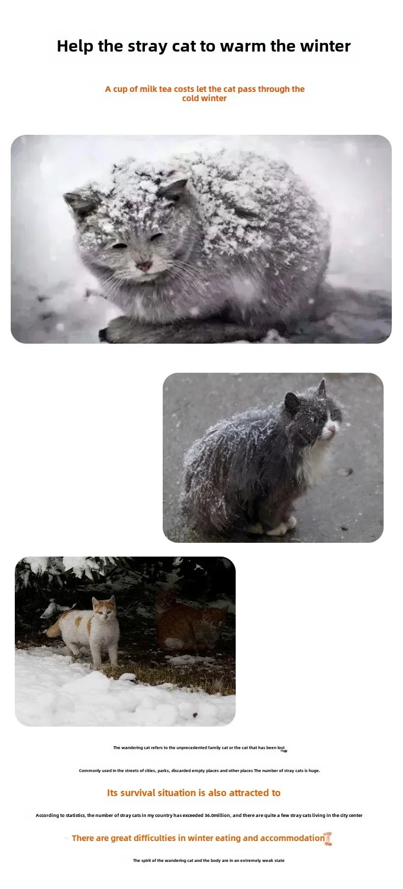 Cuccia per gatti pieghevole impermeabile da esterno