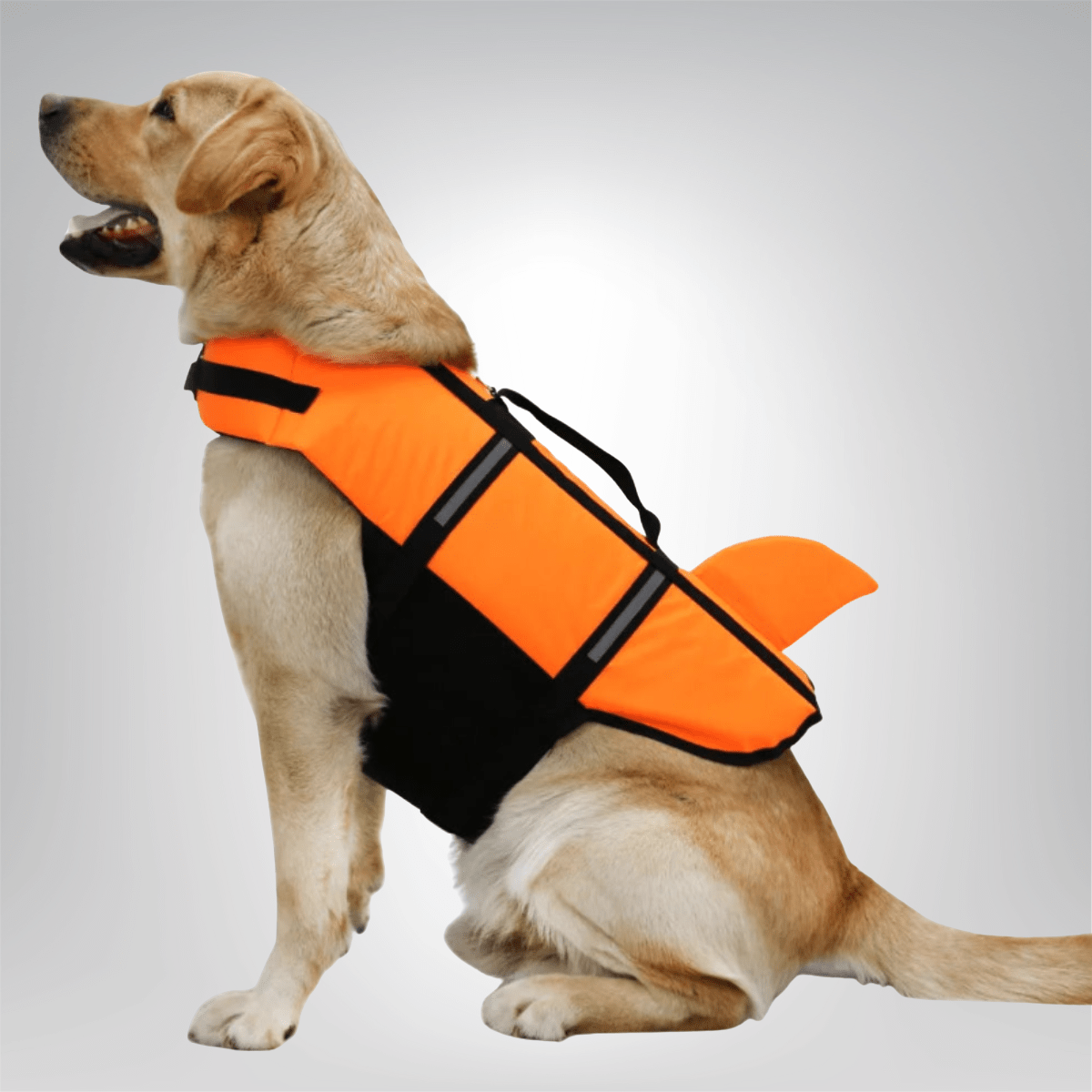 Dog Life Jacket - TechnuShark Limited Edition