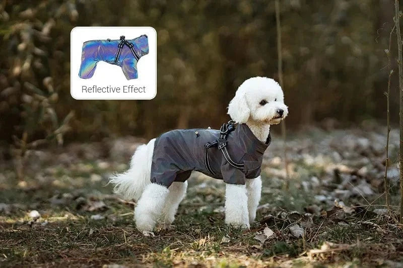 Dog Raincoat with Harness