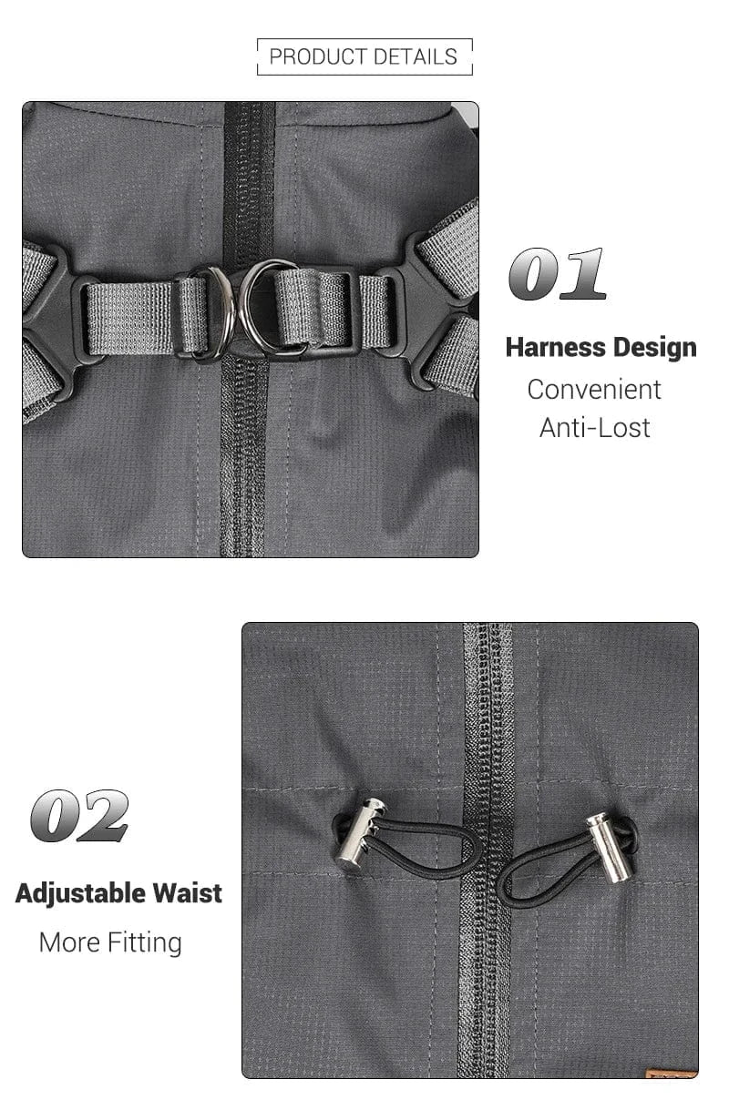 Dog Raincoat with Harness
