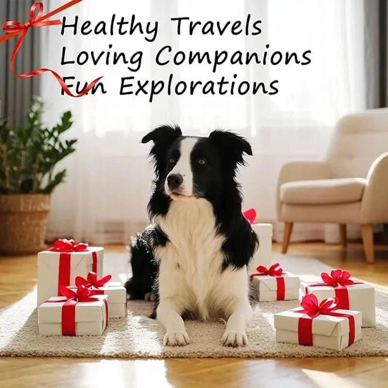 TechnuPet Dog Bowls White Foldable Elevated Double Pet Bowl