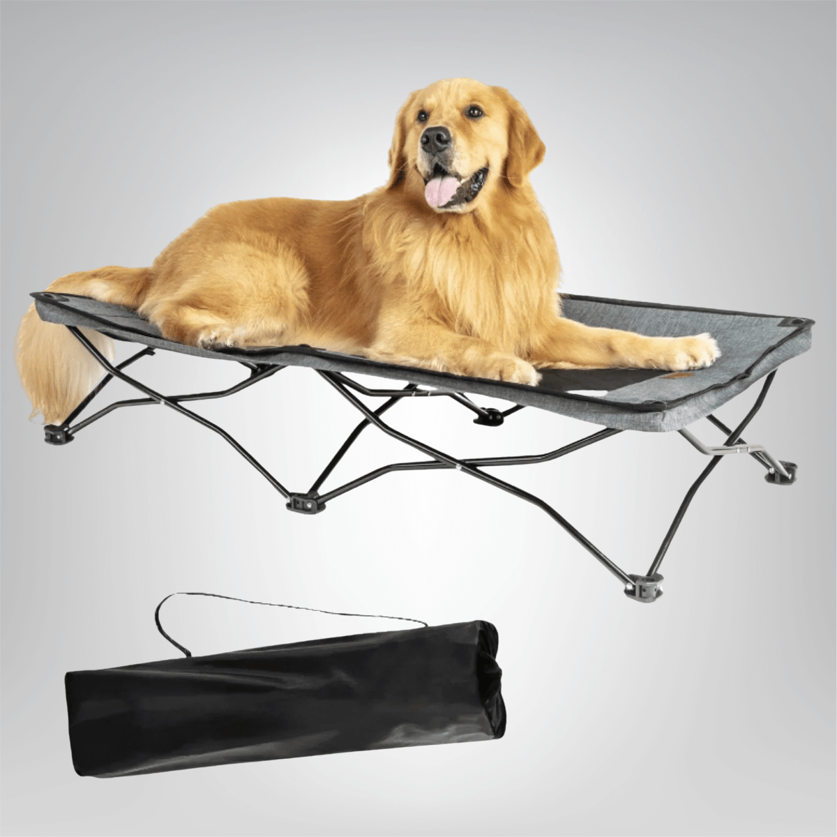 Foldable Outdoor Dog Bed