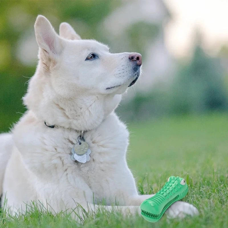 TechnuPet Dog Toys Green Rubber Chew Toy for Aggressive Chewers