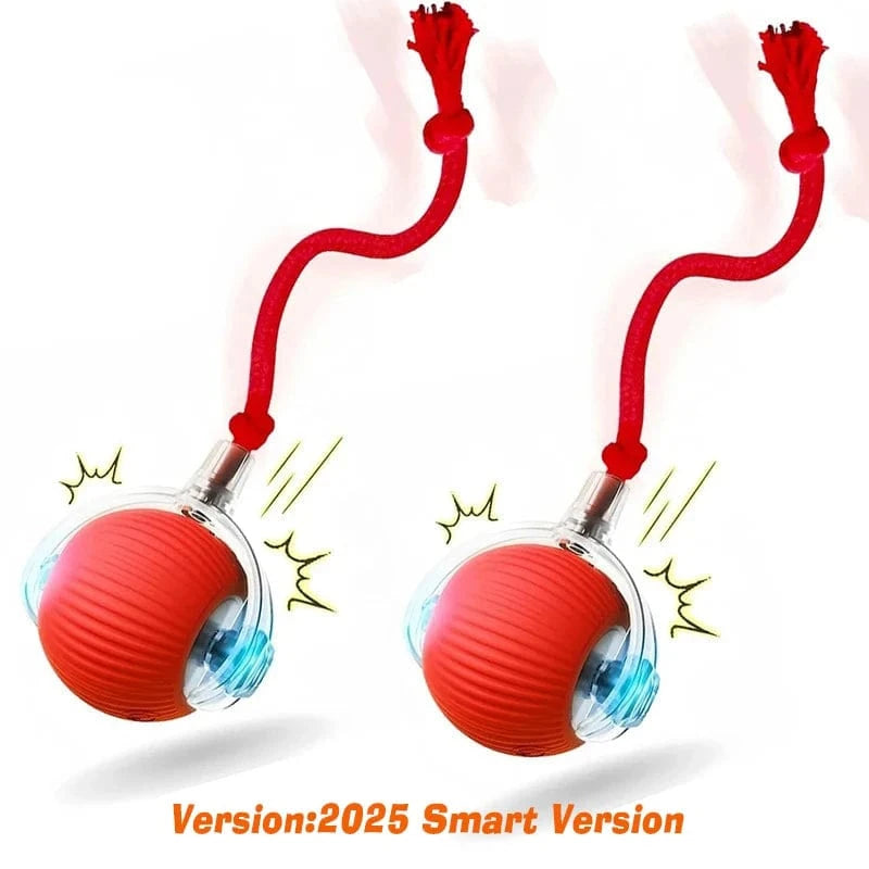 Smart Jumping Ball-Dog Toys