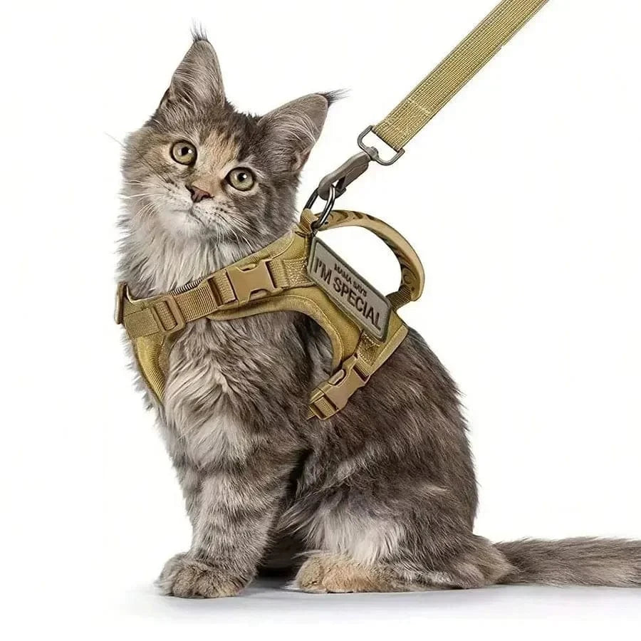 Tactical Cat Harness