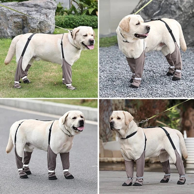 Waterproof Dog Shoes