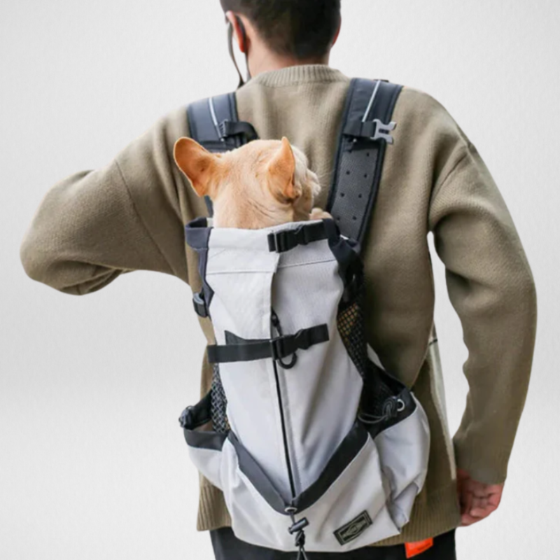 Zaino per il trasporto del cane