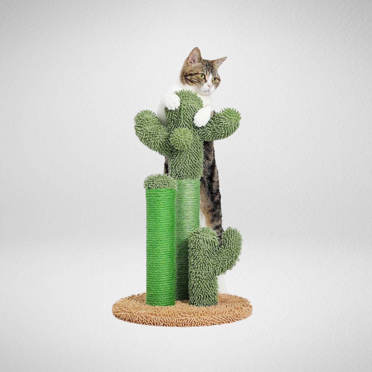 Cactus Cat Scratching Post