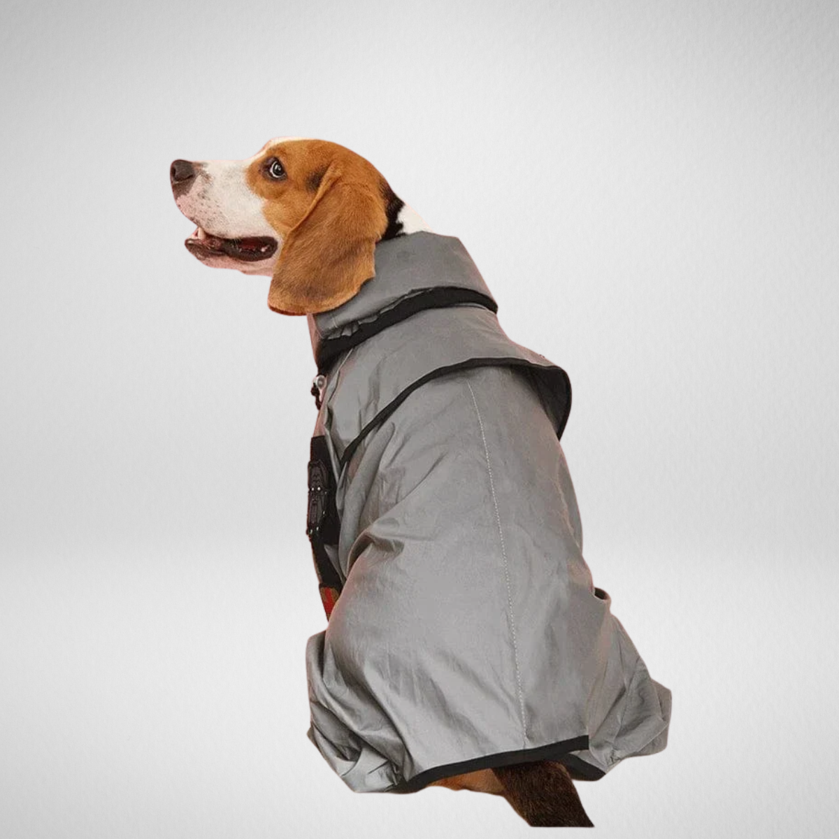 Impermeabile per cani di taglia grande