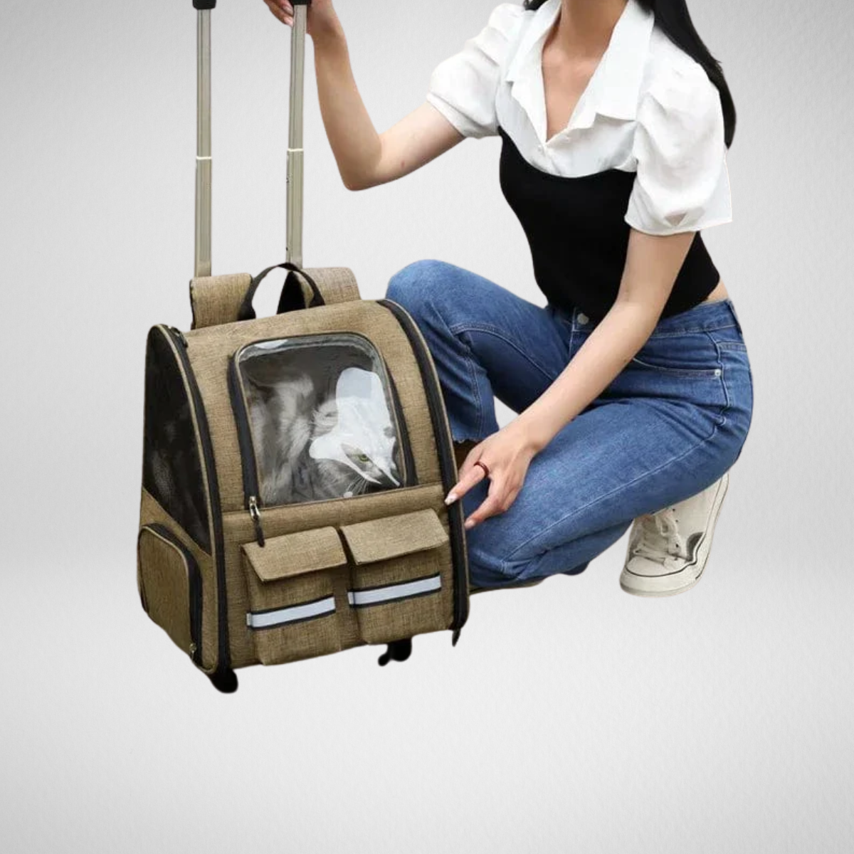 Trasportino portatile per gatti