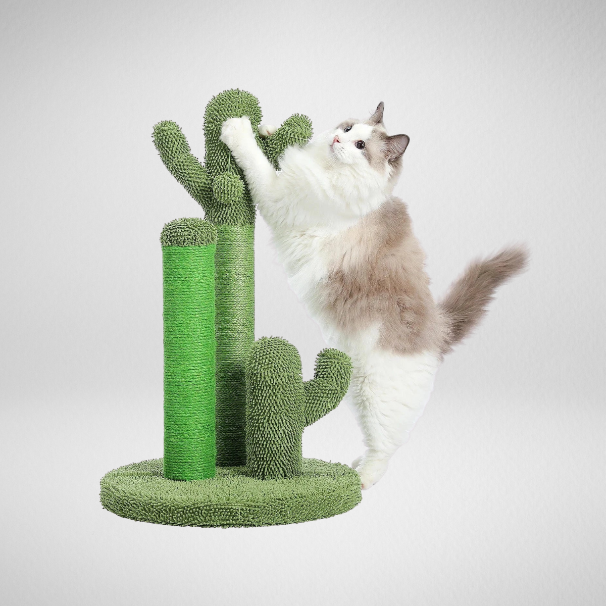 Cactus Cat Scratching Post
