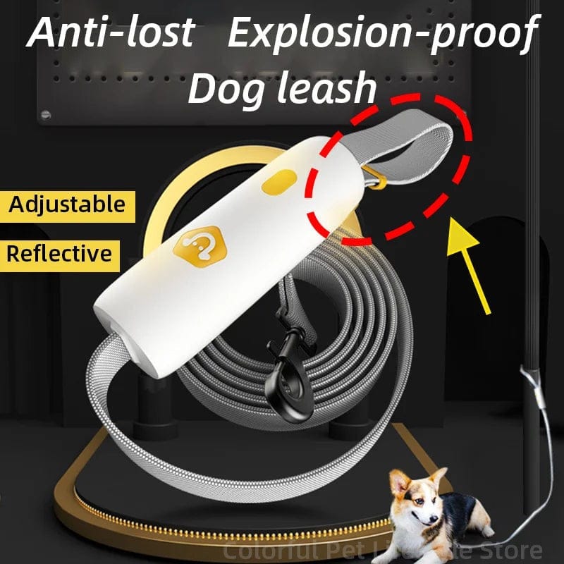 TechnuPet Dog Leash 5M Retractable Dog Leash