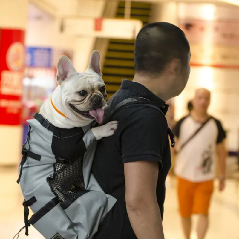 Dog Carrier Backpack