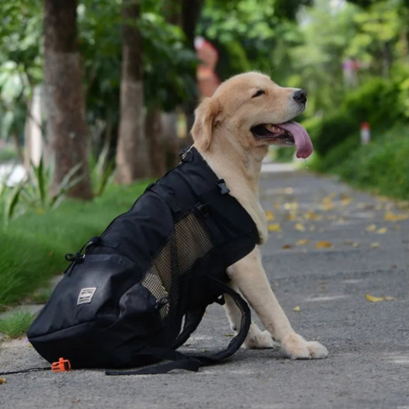 Dog Carrier Backpack