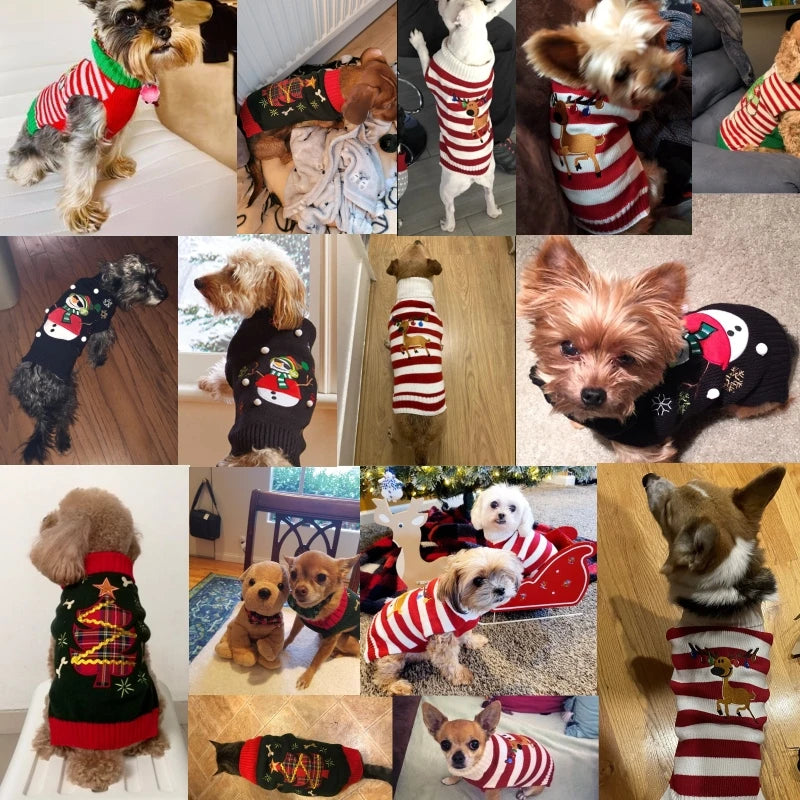 Knitted Christmas Dog Sweater