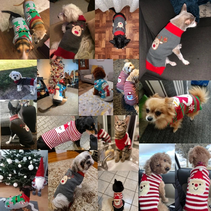 Knitted Christmas Dog Sweater