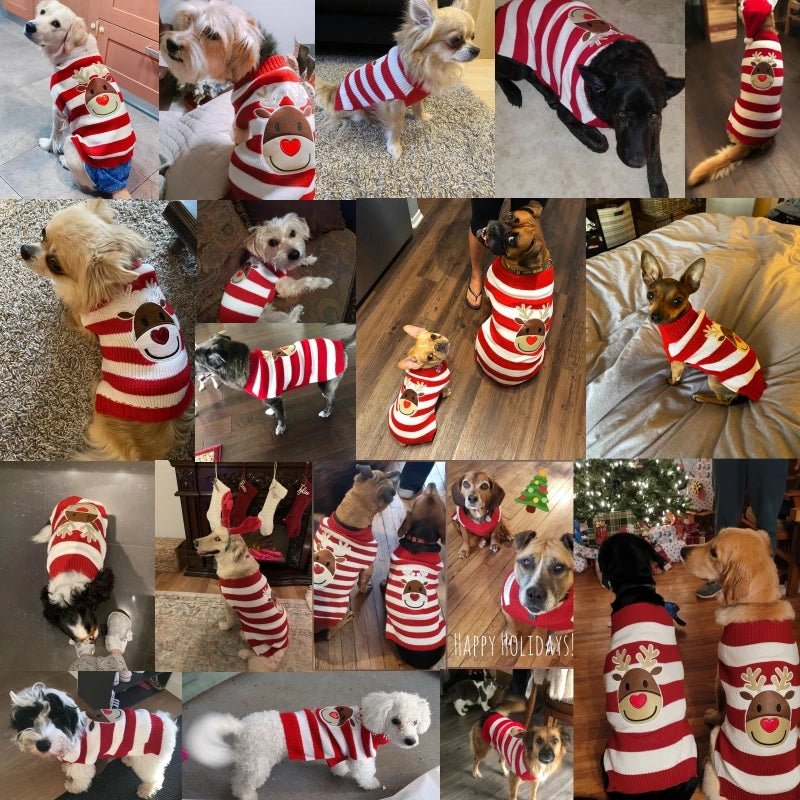 Knitted Christmas Dog Sweater