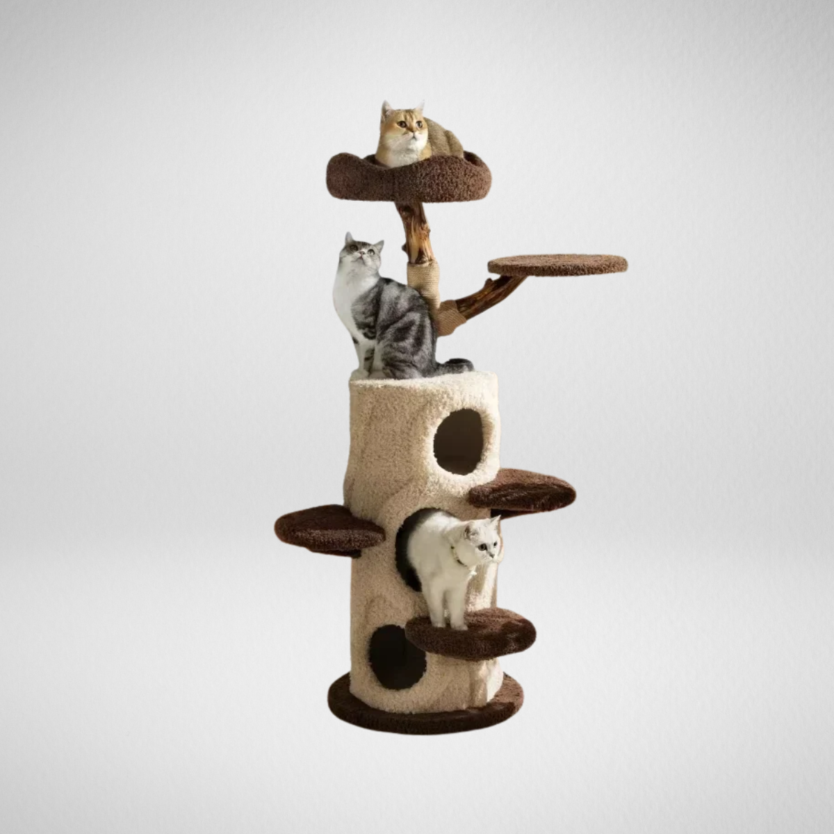 Large Tree Wooden Cat Tower