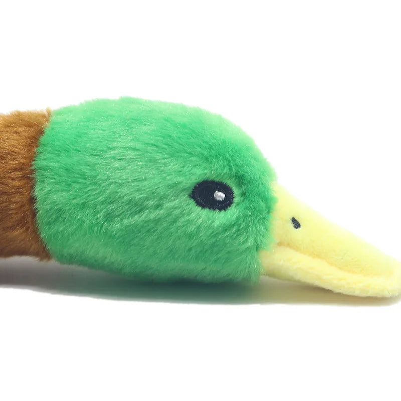 Giocattolo di peluche per cani a forma di anatra che squittisce