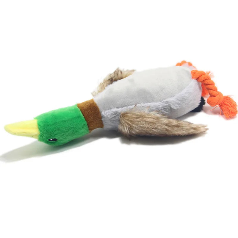 Giocattolo di peluche per cani a forma di anatra che squittisce
