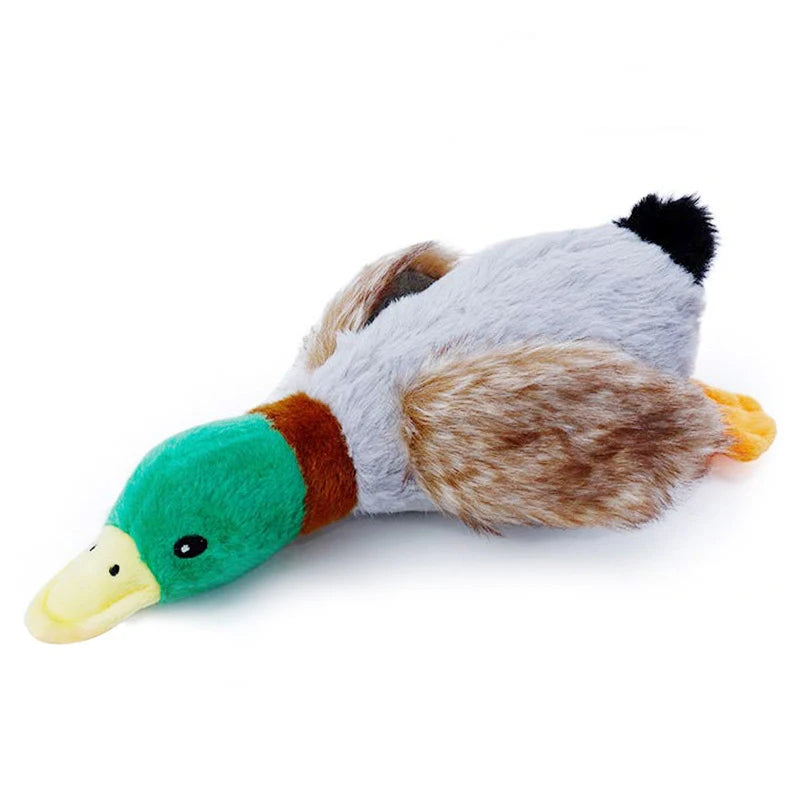 Giocattolo di peluche per cani a forma di anatra che squittisce