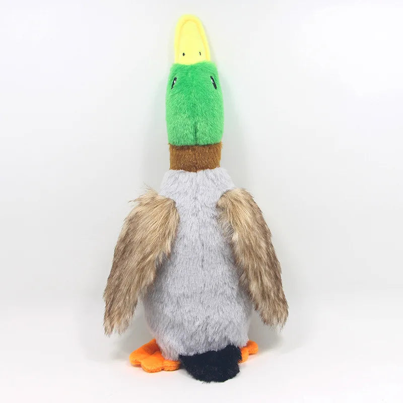 Giocattolo di peluche per cani a forma di anatra che squittisce
