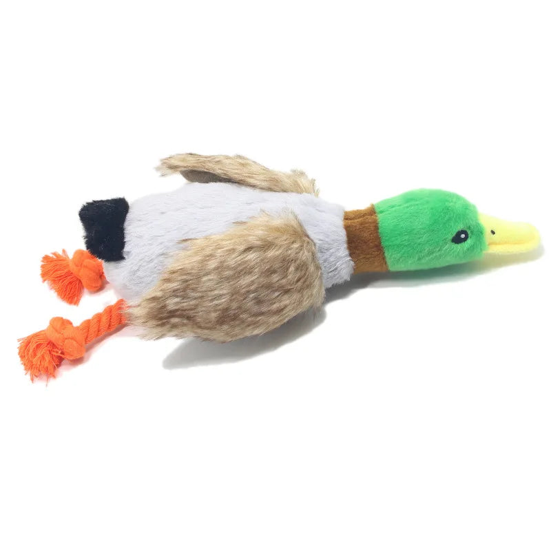 Giocattolo di peluche per cani a forma di anatra che squittisce
