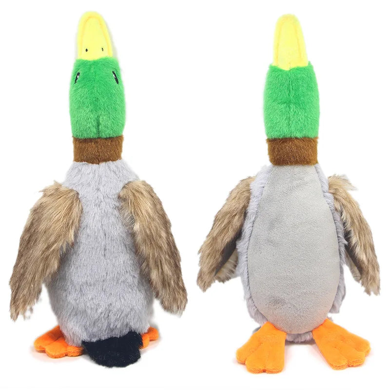 Giocattolo di peluche per cani a forma di anatra che squittisce