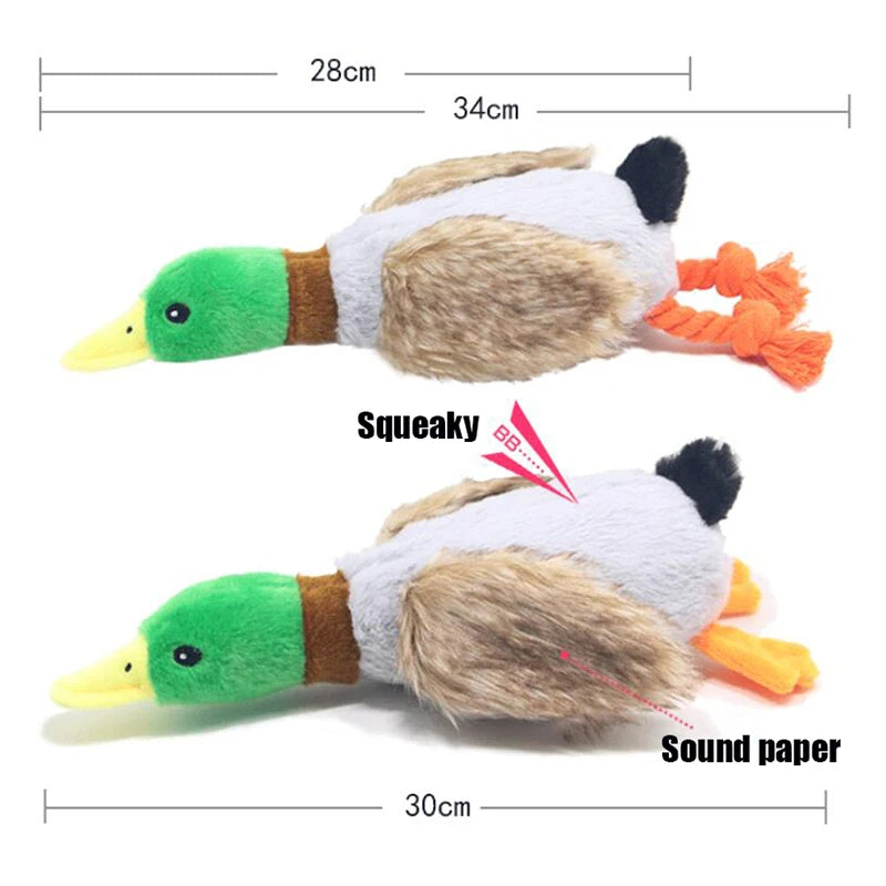 Giocattolo di peluche per cani a forma di anatra che squittisce