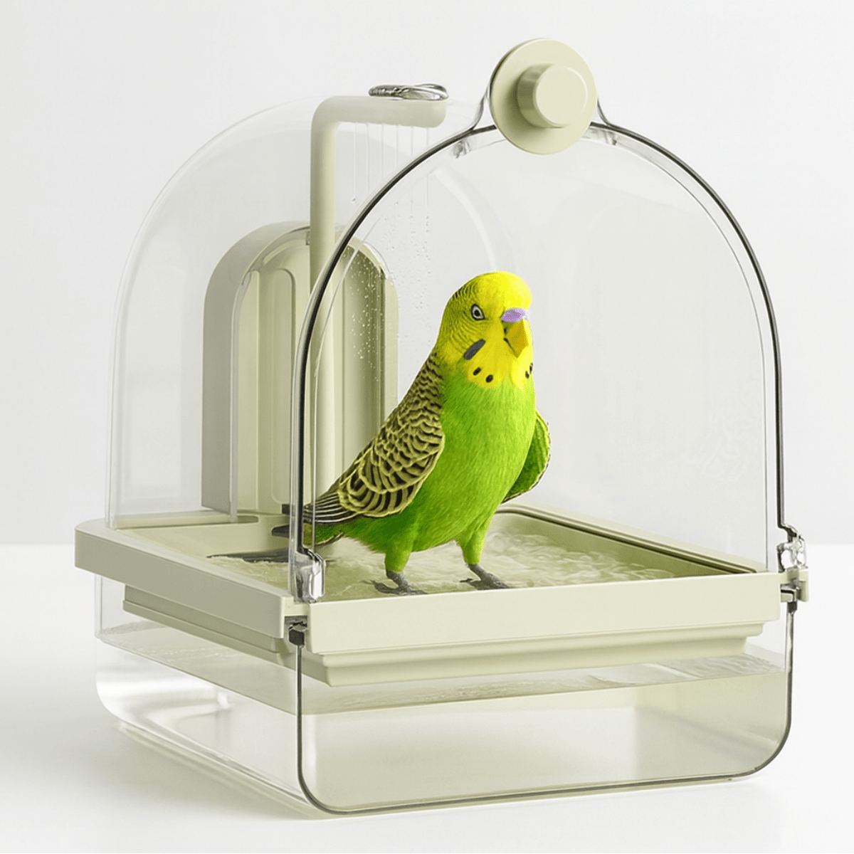 Automatic Bird Bath