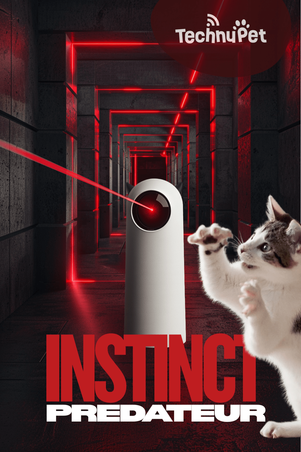 Automatic Cat Laser