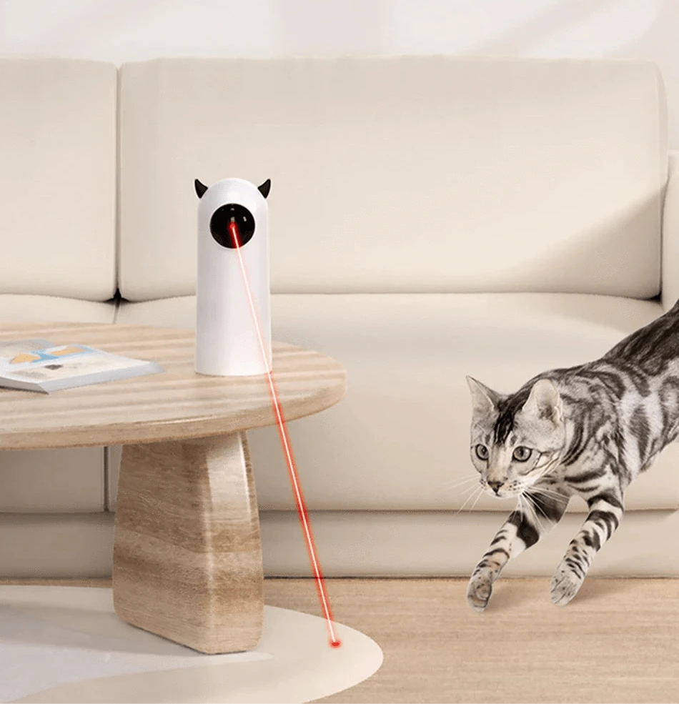 Automatic Cat Laser