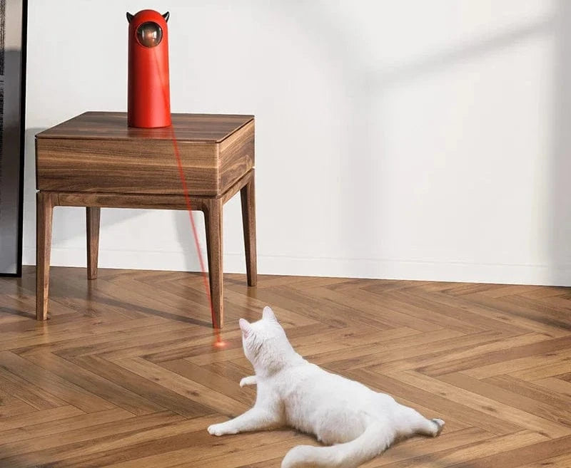 Automatic Cat Laser