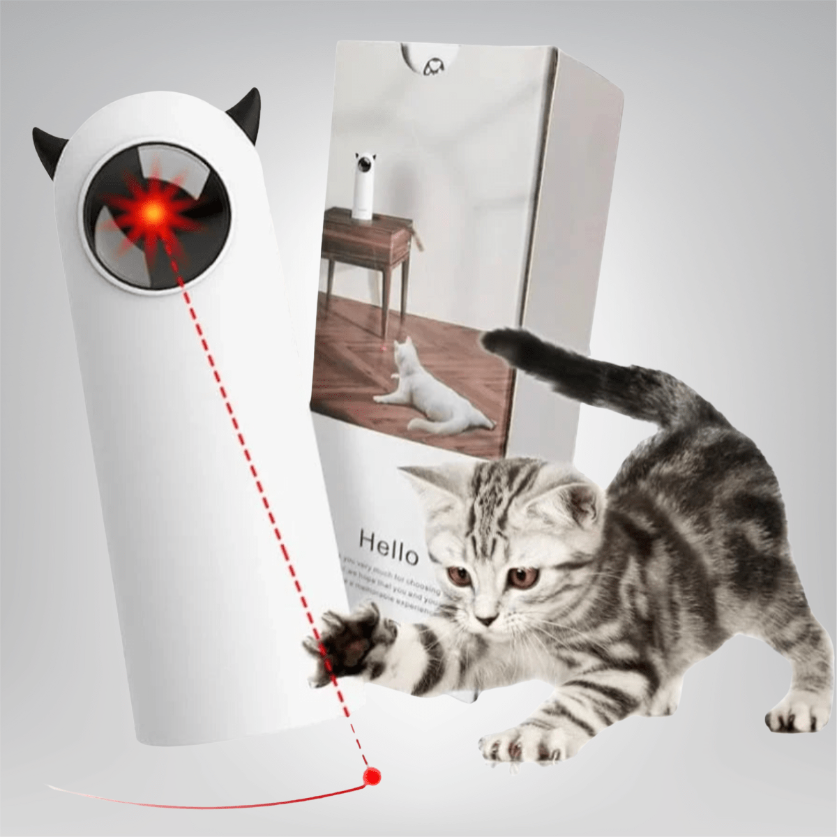 Automatic Cat Laser