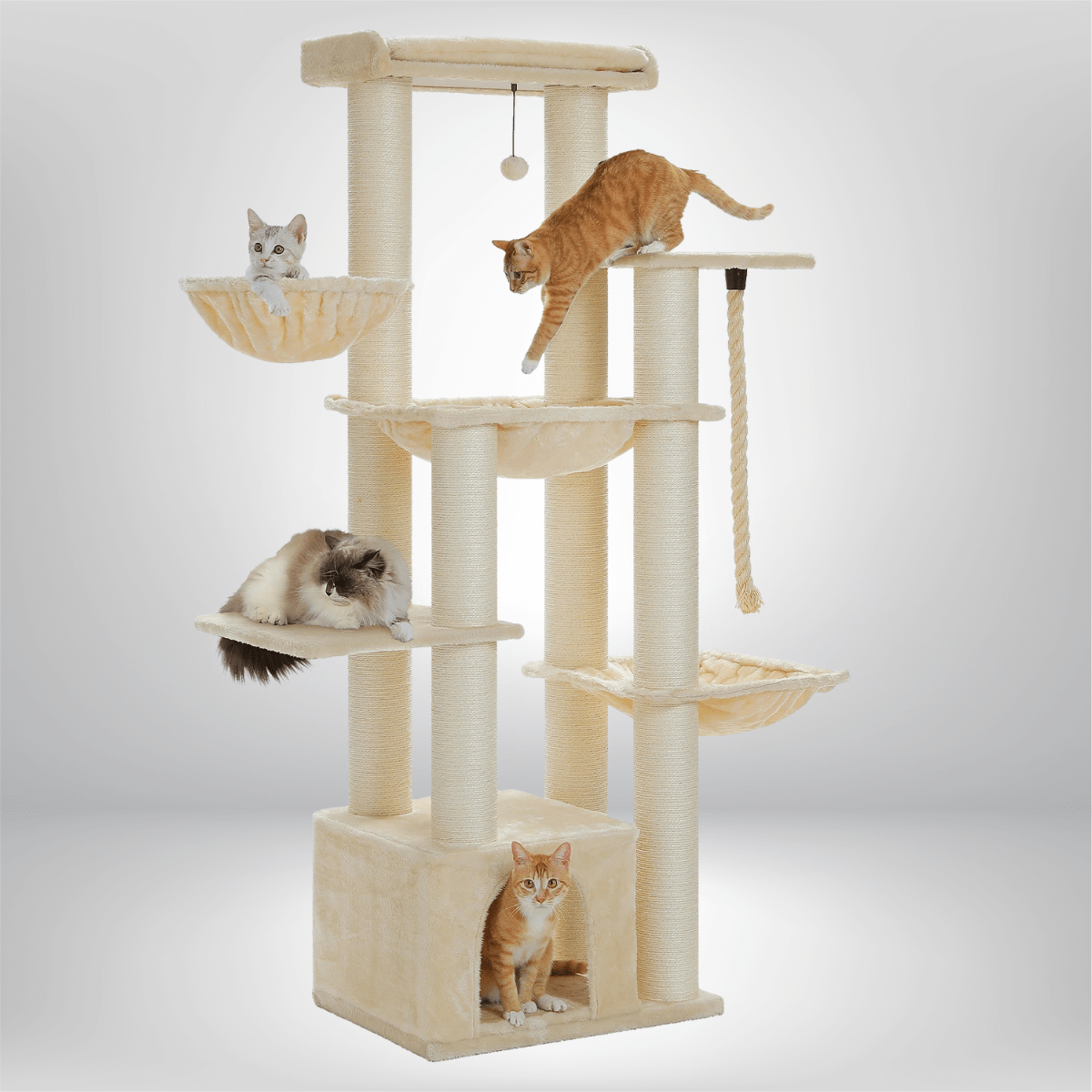 Big Cat Tree for Large Cats