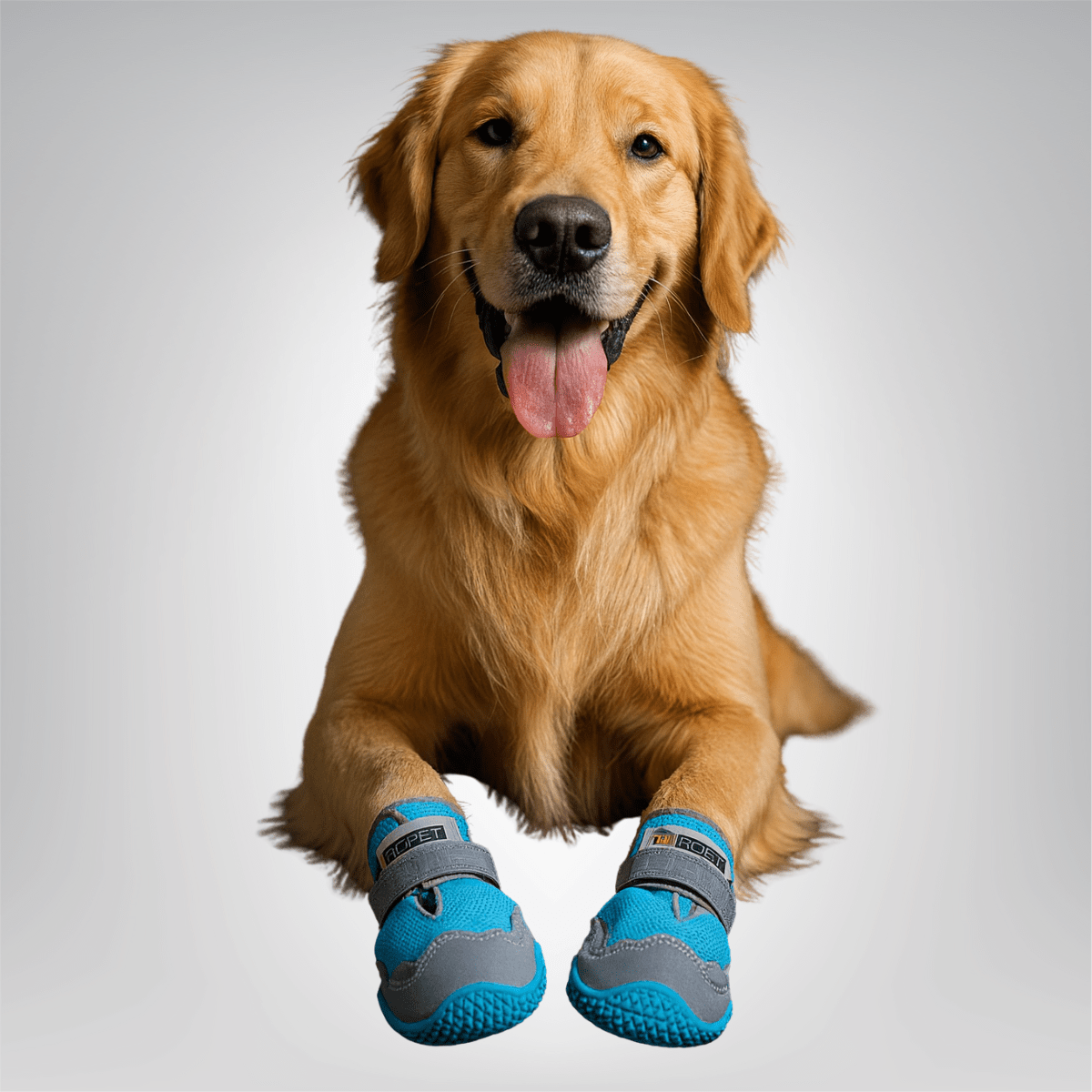 Breathable Dog Shoes