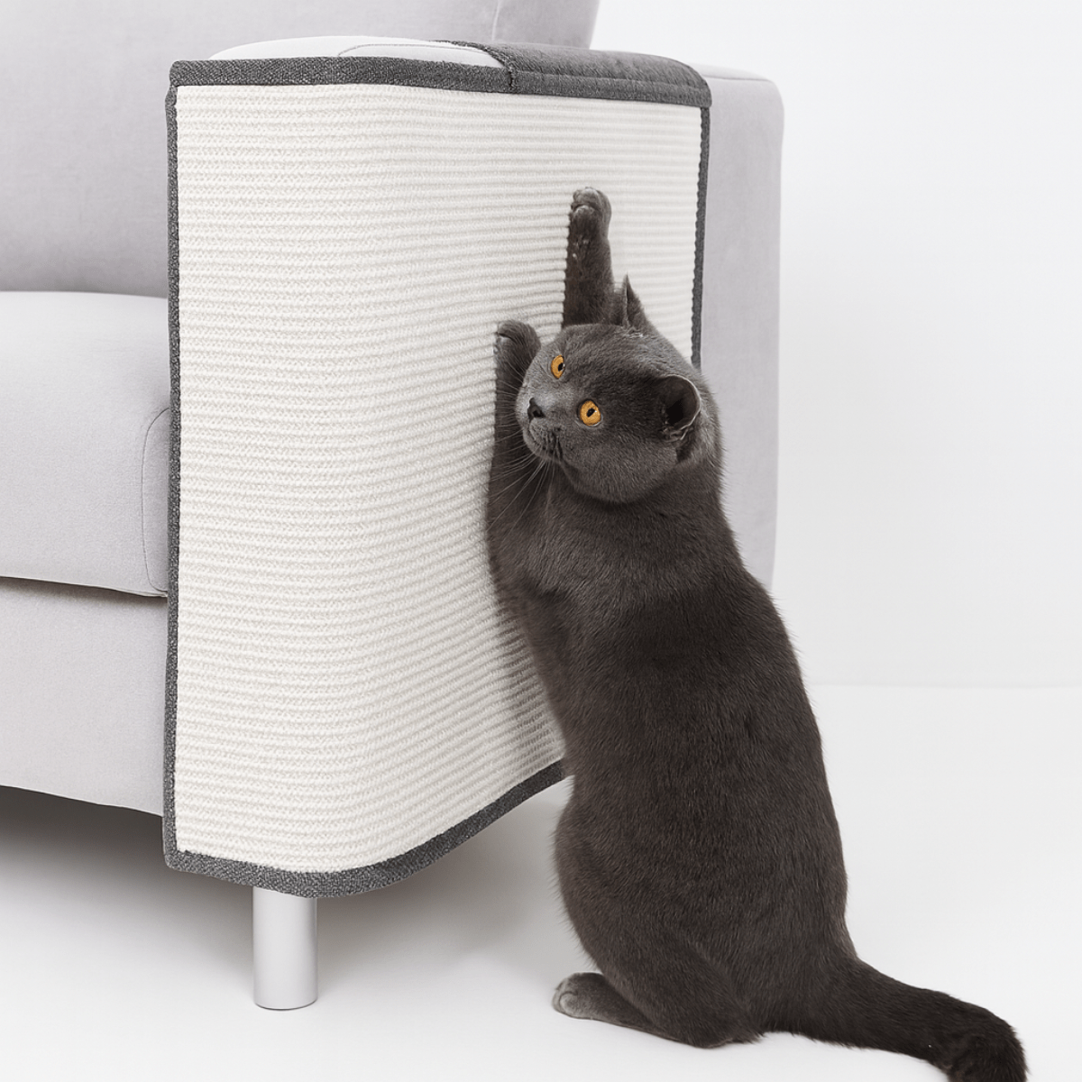 Cat Scratch Pad