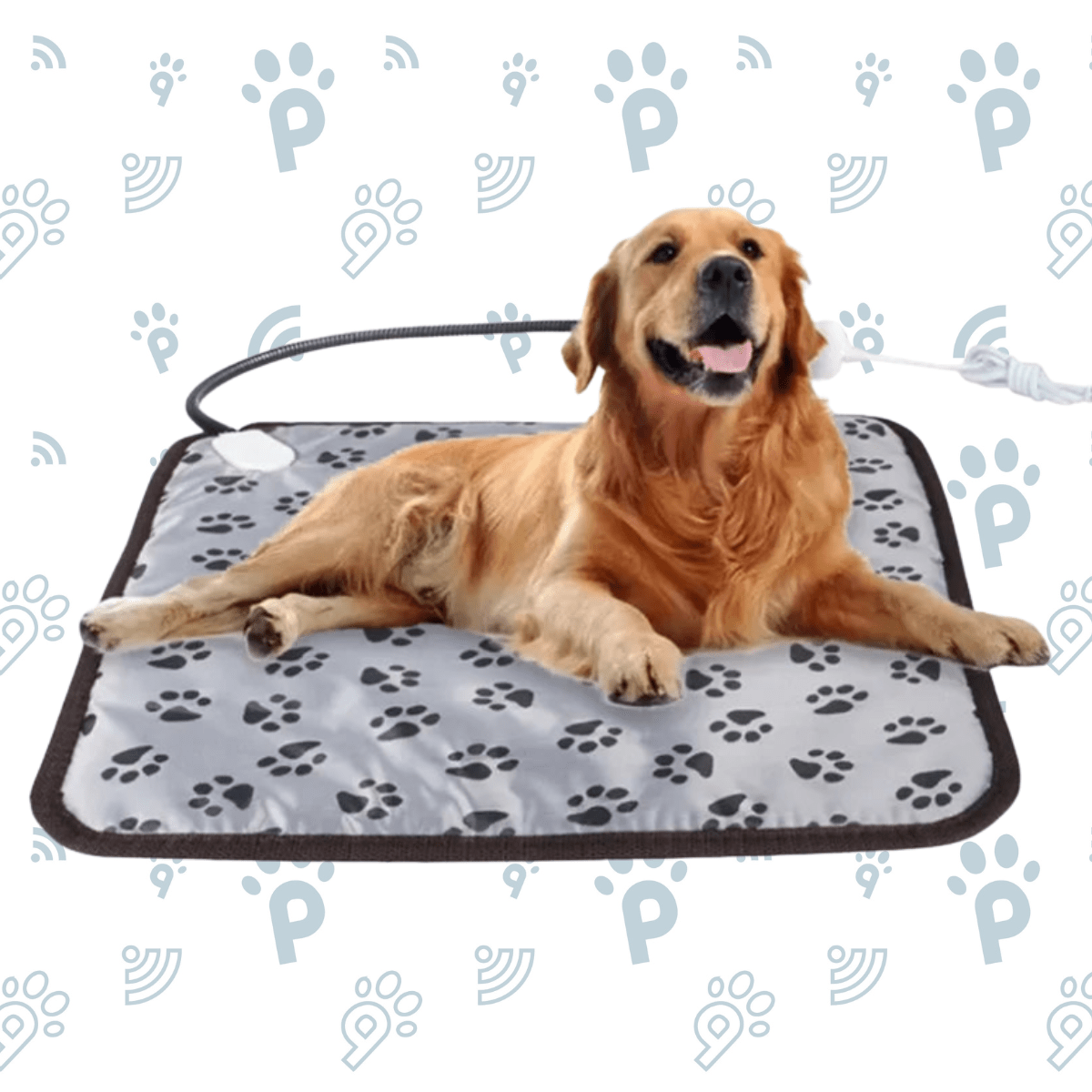 Dog Electric Heating Pad - 2