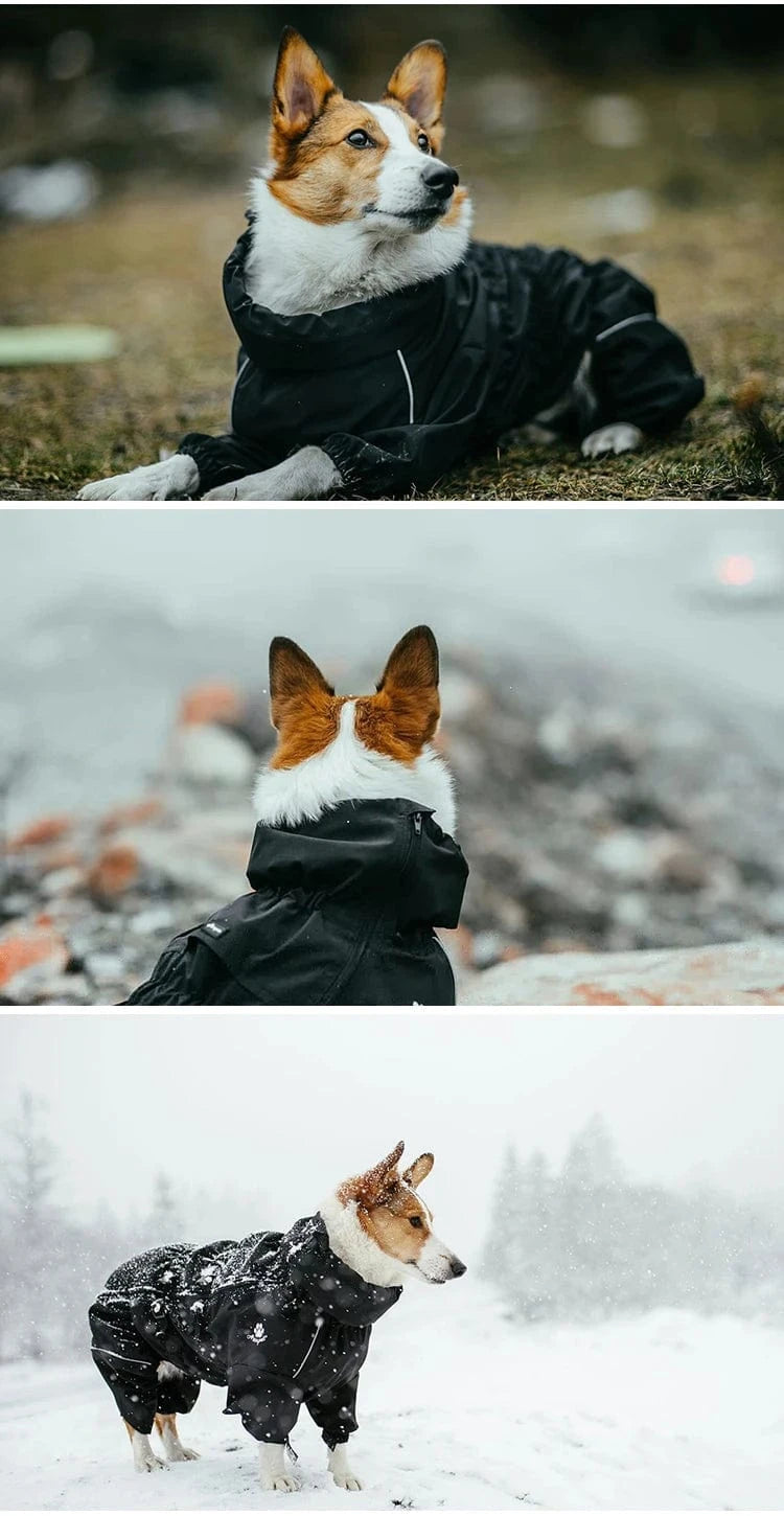 Dog Raincoat