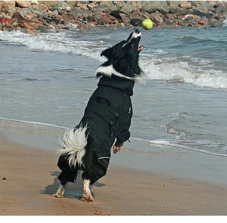 Dog Raincoat