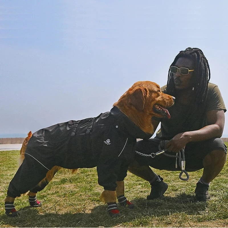 Dog Raincoat