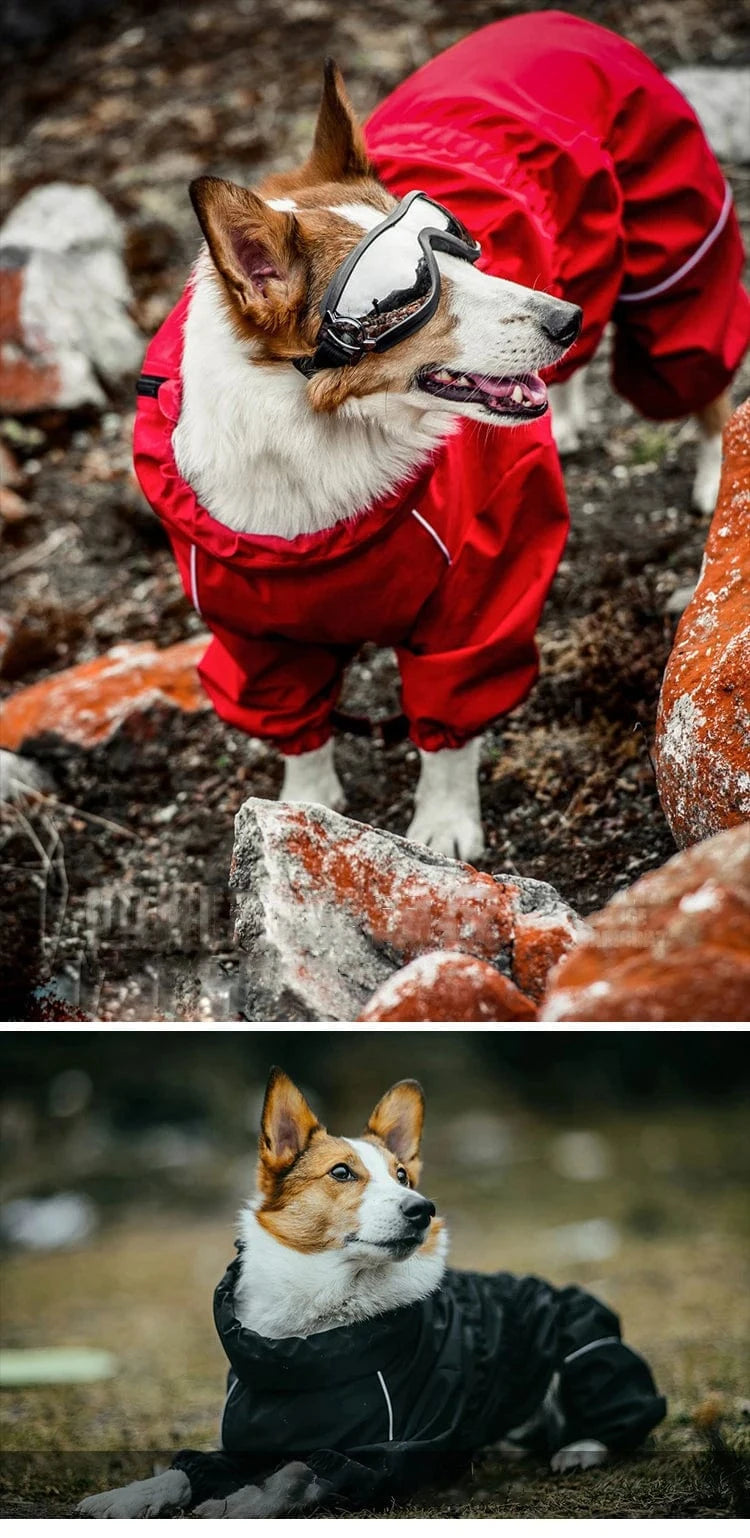 Dog Raincoat