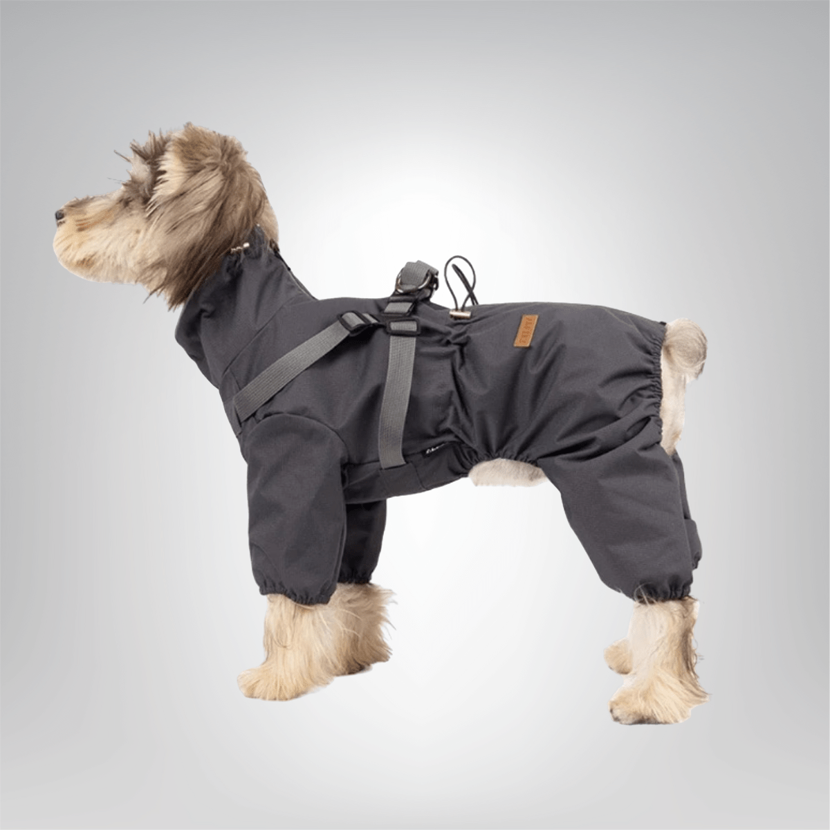Dog Raincoat with Harness