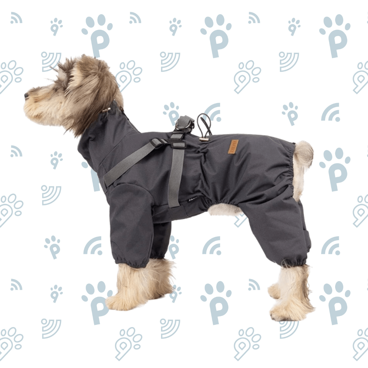 Dog Raincoat with Harness