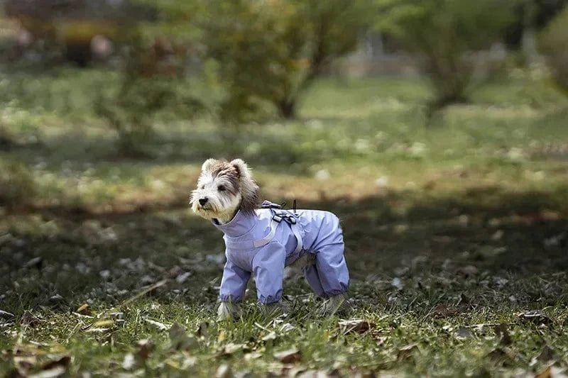 Dog Raincoat with Harness
