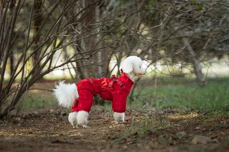 Dog Raincoat with Harness