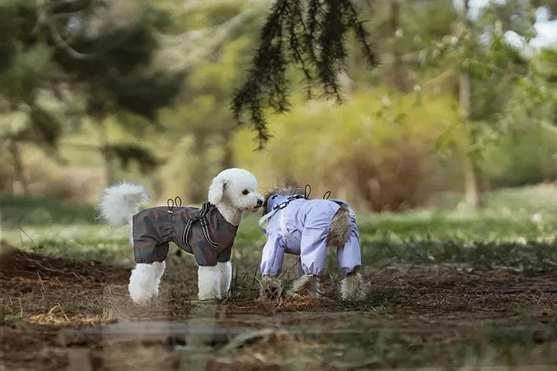 Dog Raincoat with Harness